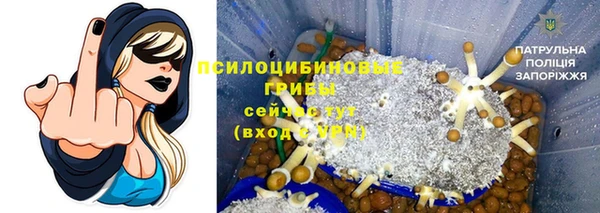тгк Кулебаки